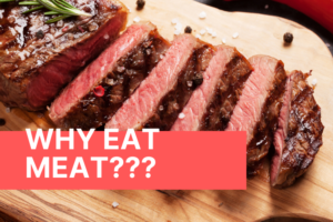 Why Eat Meat Steak