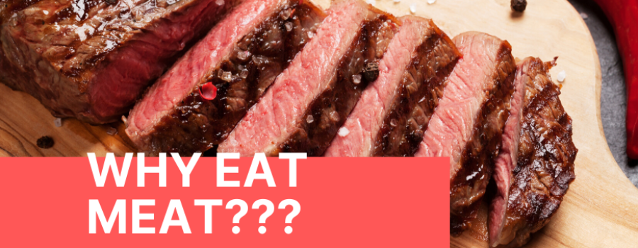 Why Eat Meat Steak